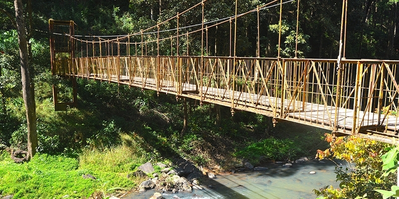 Most popular Winter Honeymoon Destinations in India For a Perfect Romantic Trip