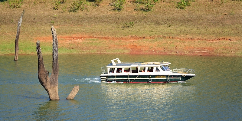 The Spectacular Cruise offers the Perfect Water-Wildlife Adventure Getaway in India