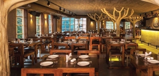 Most Instagrammable Cafes in India